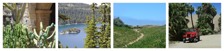 Nature verdoyante et désert en Californie