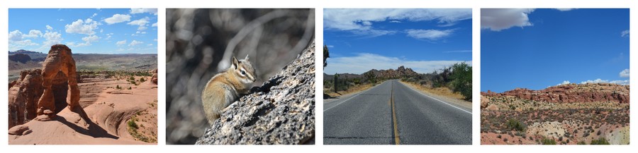 Voyager aux Etats-Unis de arches à Joshua Tree