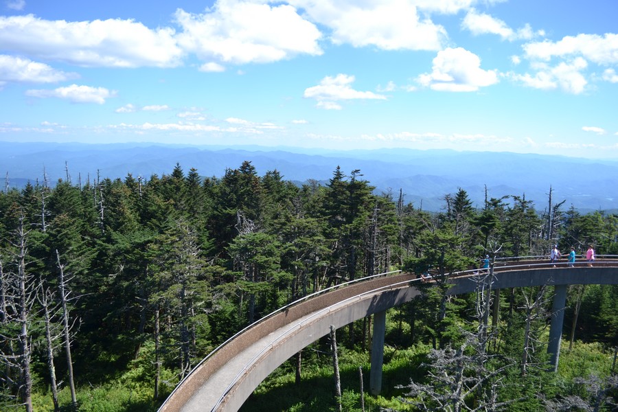 Passerelle Smoky Moutains Appalaches