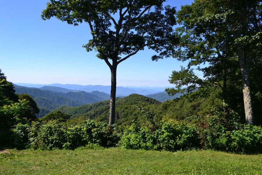 Vue sur les Appalaches au Smoky Mountains National Park