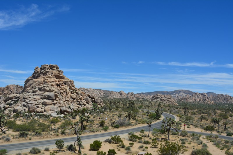 Route traversant Joshua Tree National Park