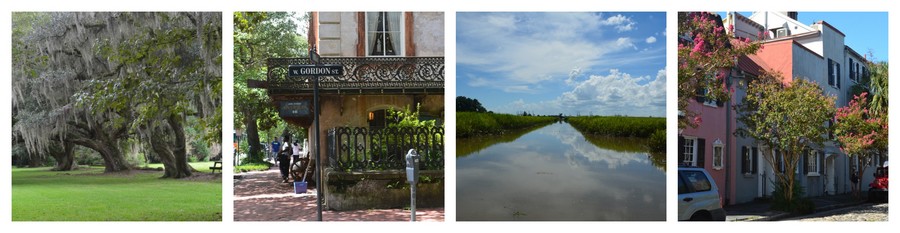 Architecture et paysage du Sud des Etats-Unis