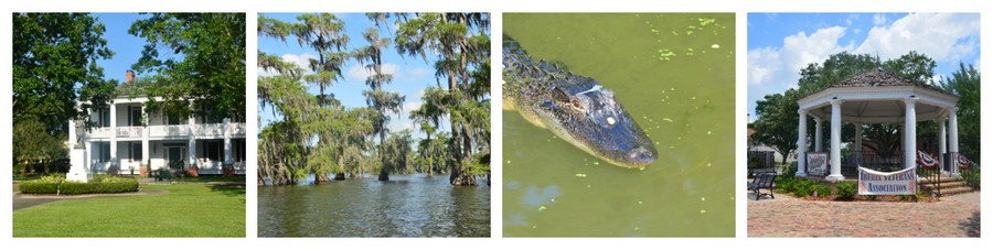 Photos bayous et alligators Photos incontournables Louisiane