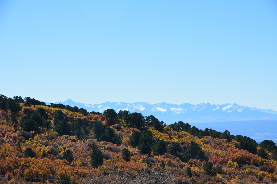 vue sur les montagne de Montrose