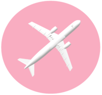 avion 2 voyager avec un travel planner usa