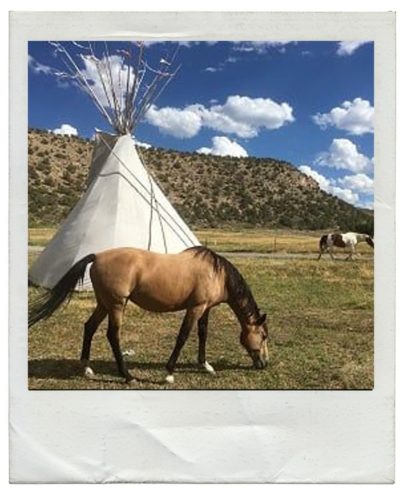 Voyage ranch Colorado