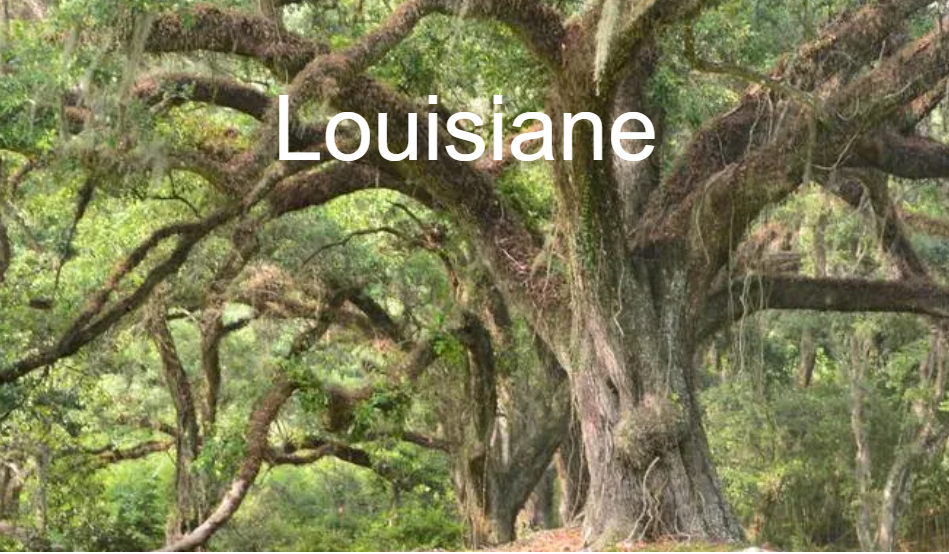 Louisiane