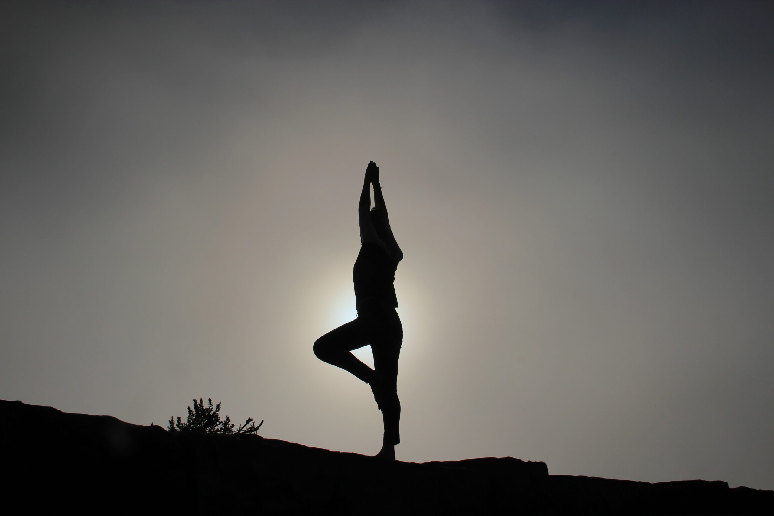 Yoga yoga ranch