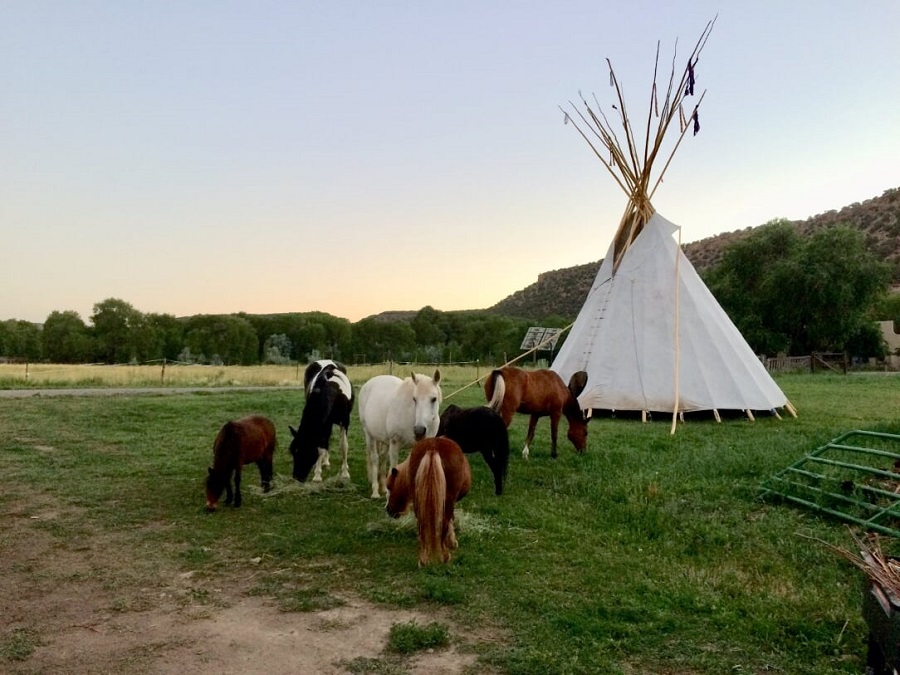 travail avec les chevaux Colorado