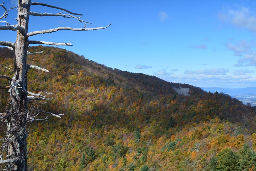 parc national Shenandoah automne