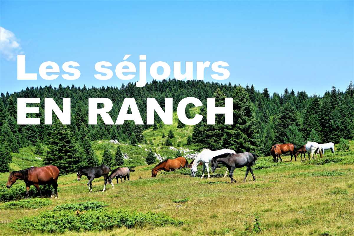 séjours en ranch USA