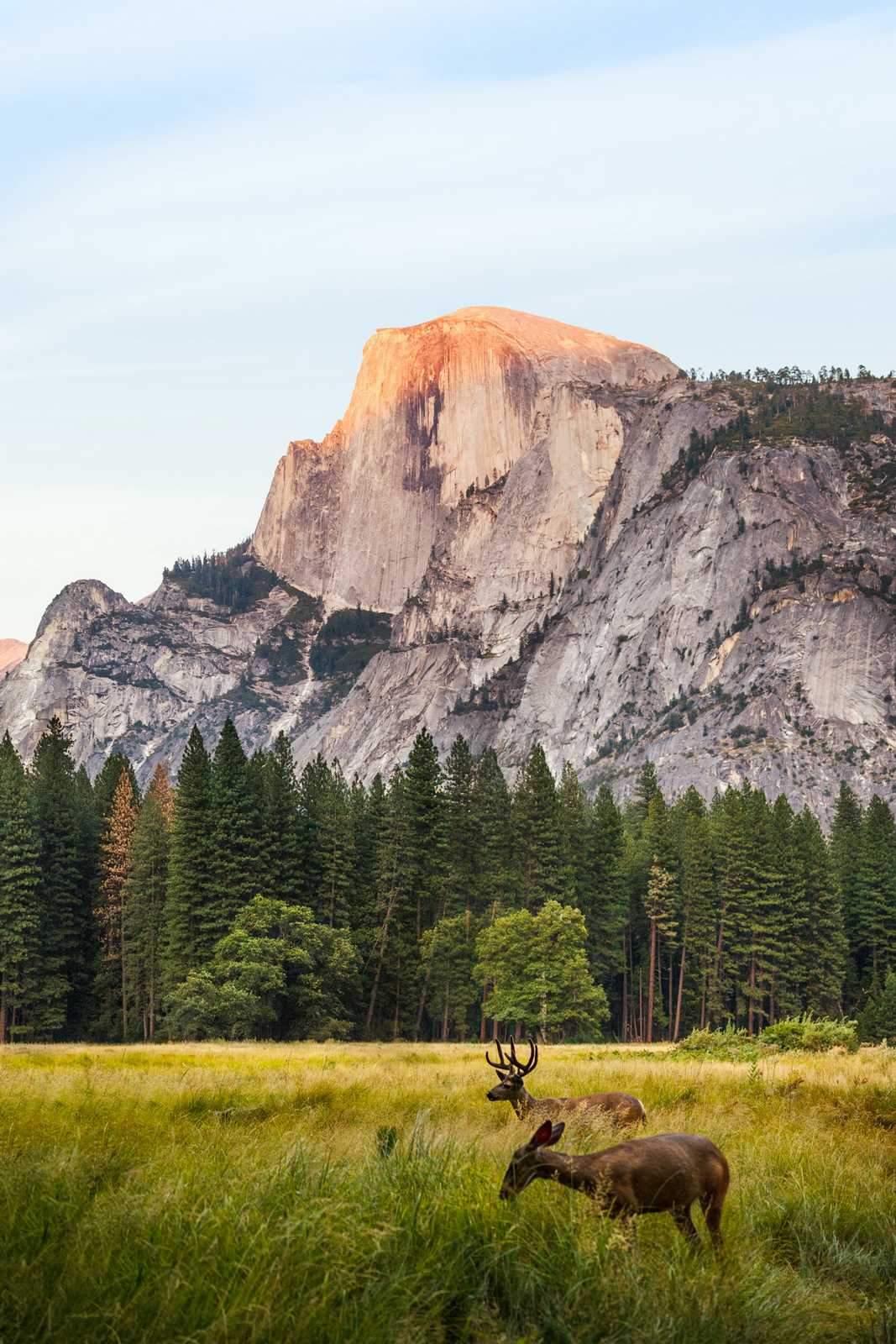 Yosemite visiter yosemite