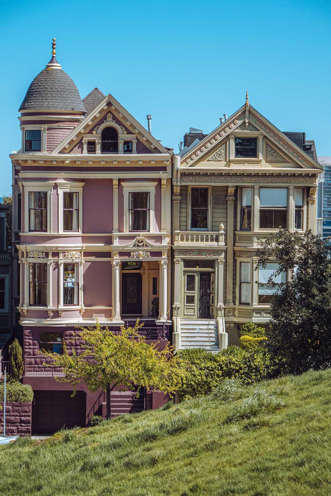 matthew-bornhorst-SuEfcxCJbmo-unsplash painted ladies