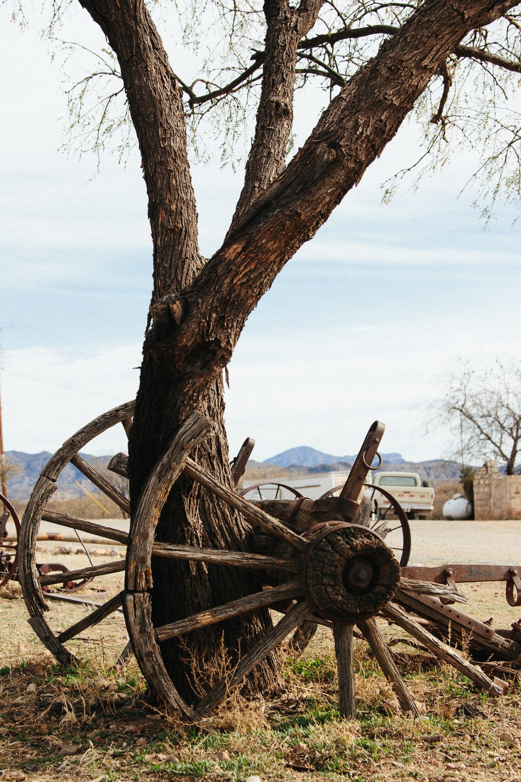 bree-evans-L1eTOIBnwSE-unsplash ranch américain