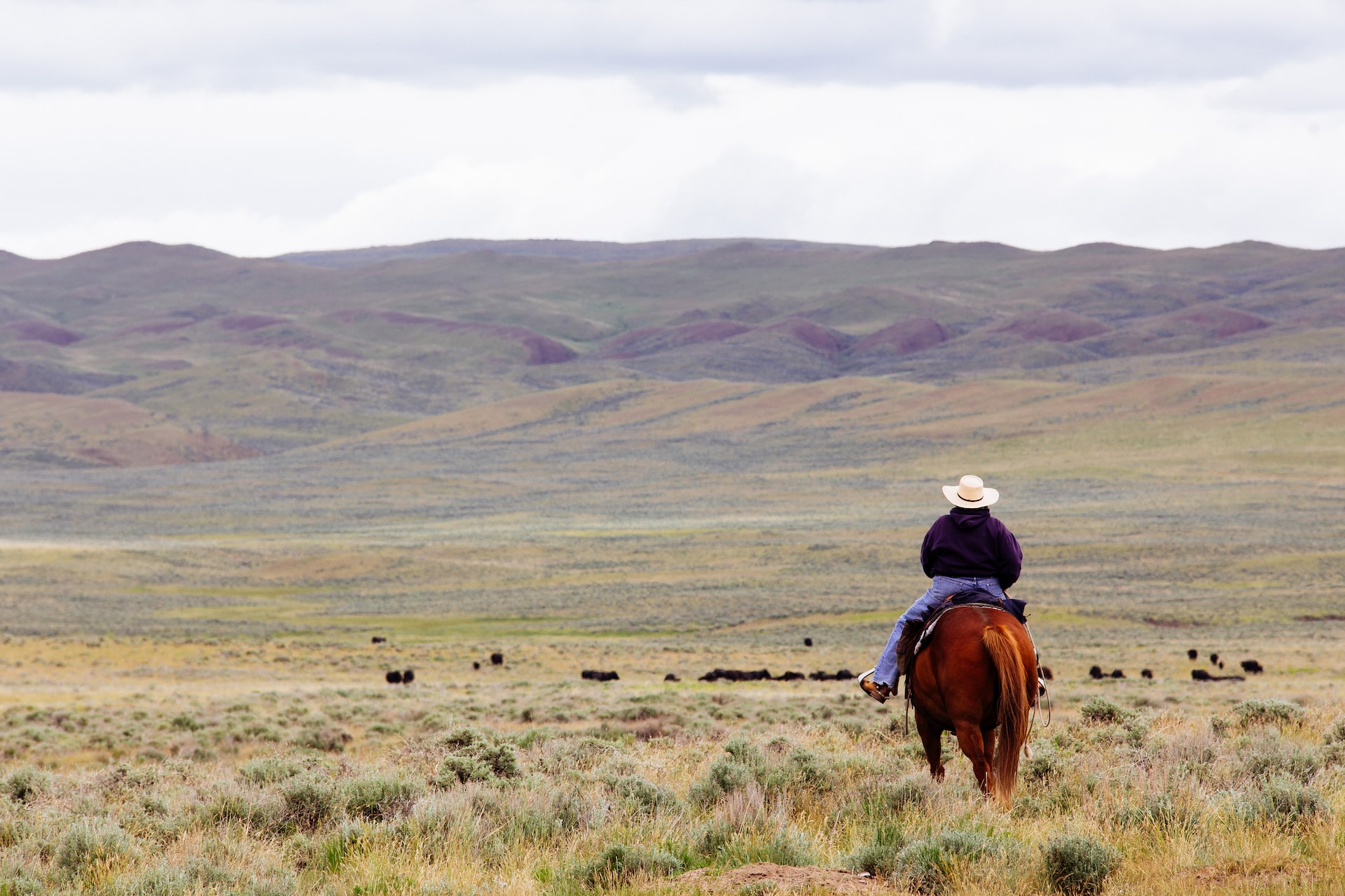 john-kakuk-OYm7afxef8o-unsplash ranch américain