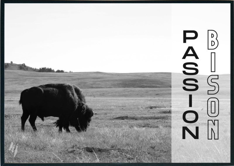 photo voyage USA