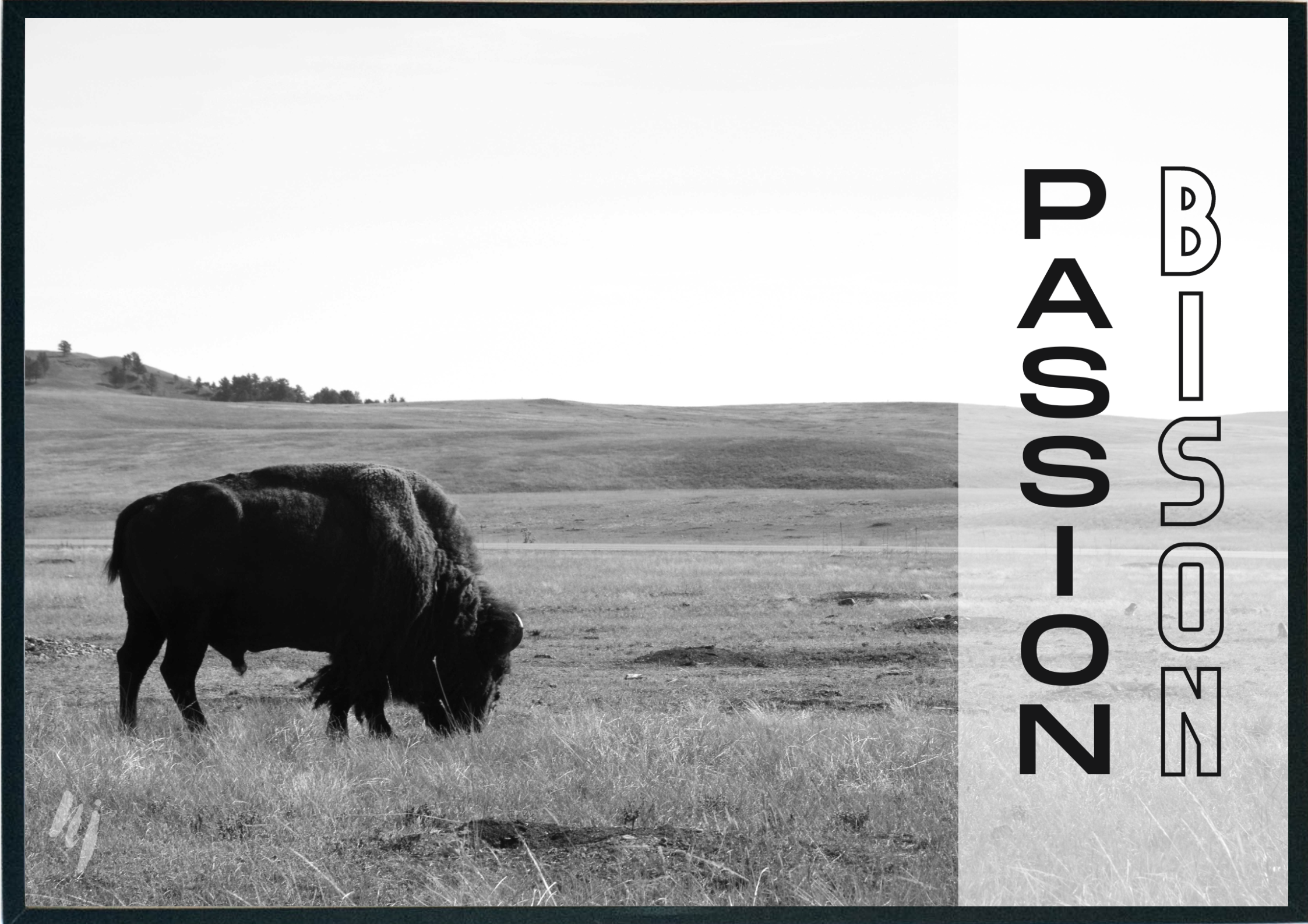photo voyage USA