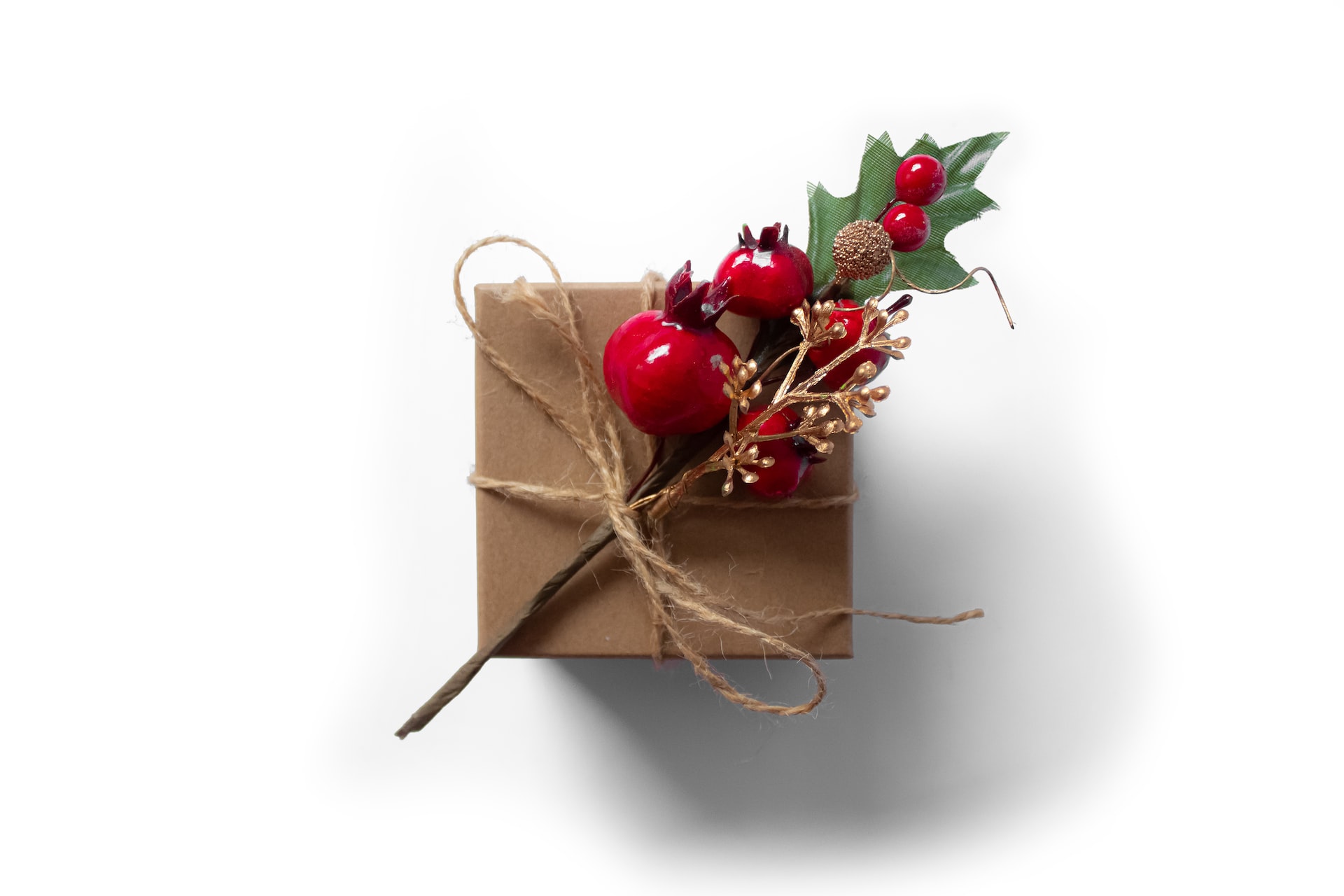 tijana-drndarski-AVQzFSdkNyw-unsplash photo offrir noel