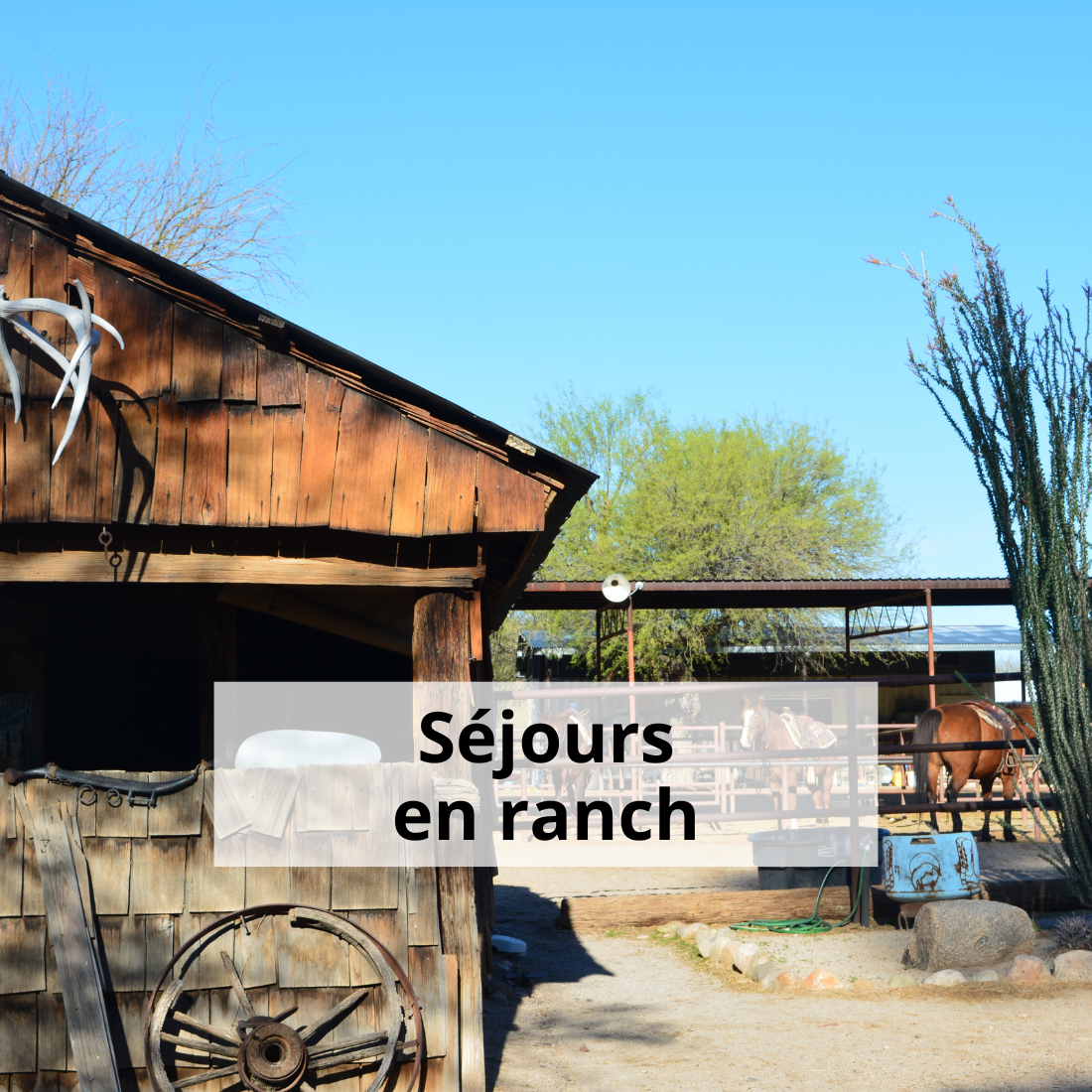 séjour en ranch usa