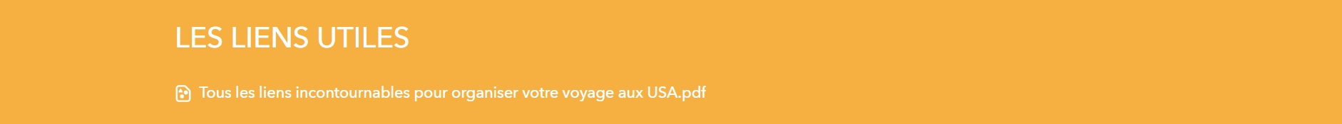 FORMATION VOYAGE USA